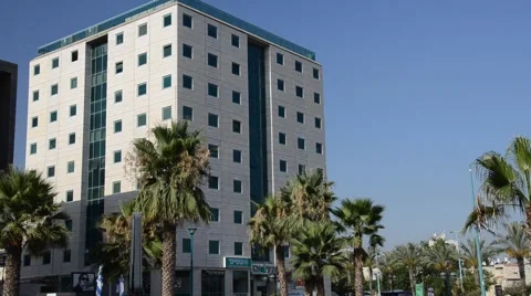 Pitch building is surrounded by palms. Video stock 40297716