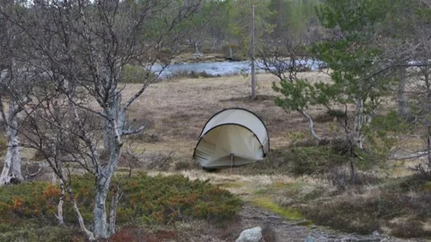 A pitched tent in riverside forest clearing with birch trees swaying in the wind Stock Footage 318196706