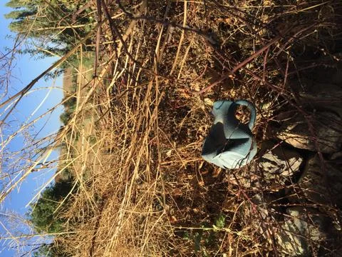 Pitcher,  Bay, 写真素材