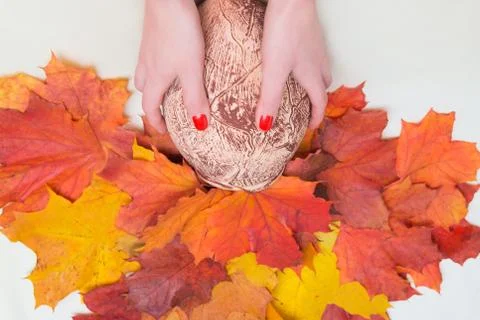 Pitcher with leaves in woman's hands Stock Photos