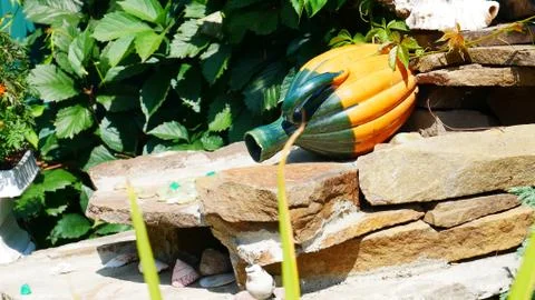 The pitcher is on the stone Stock Photos