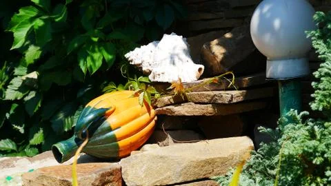 The pitcher is on the stone 写真素材