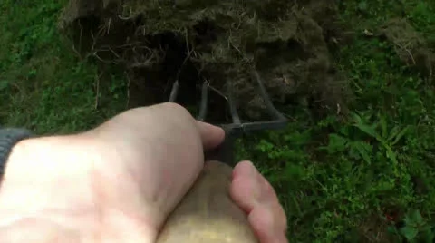 Pitchfork POV Vídeo Stock 23722632