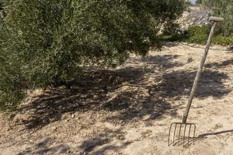 A pitchfork stuck in the ground Stock Photos