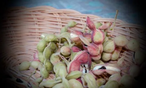 Pithecellobium dulce  in the container for eating. Stock Photos