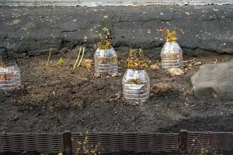 Pitiful handmade garden Stock Photos