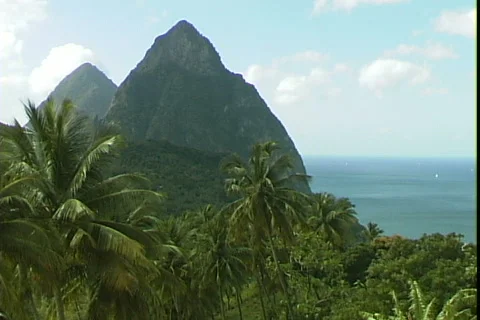 Pitons 库存影片 819568