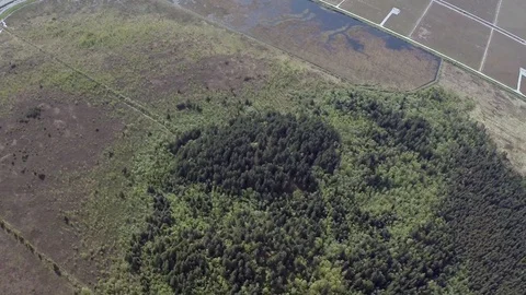 Pitt Addington Marsh Stock Footage 128838782
