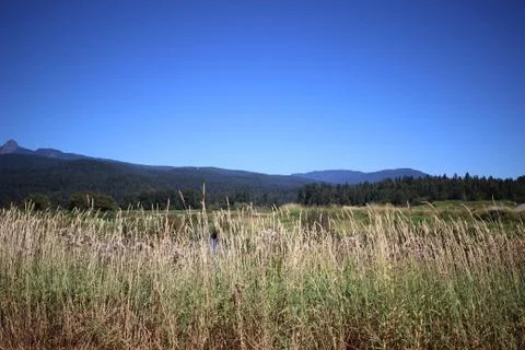 Pitt Meadows landscape 스톡 사진