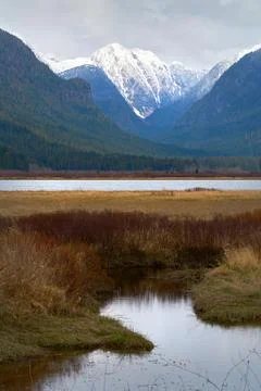 Pitt River Winter Mountain Reflection Fotos Stock
