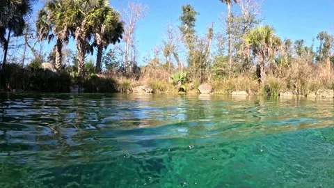 Pitt Spring #2 Stock Footage 228707340