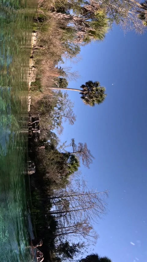 Pitt Spring #3 Stock Footage 228707331