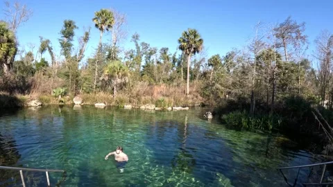 Pitt Spring #4 Stock Footage 228707333