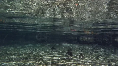 Pitt Spring #5 Stock Footage 228707334