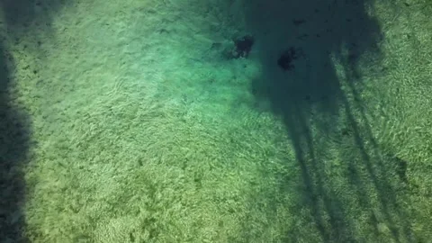 Pitt Springs Stock Footage 228708261