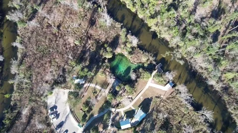 Pitt Springs Stock Footage 228708276