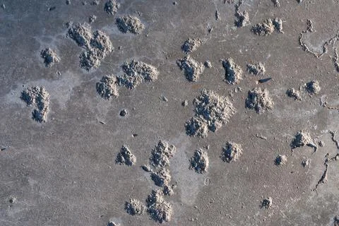 Pitted concrete surface rough texture background Stock Photos