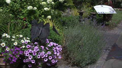 Pittock Mansion Video stock 62791185