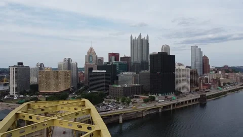 Pittsburgh Bird Attack Stock Footage 247230925