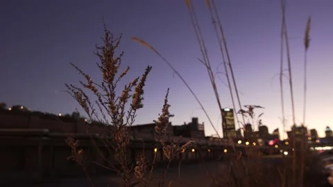 Pittsburgh Skyline Strip District Rack Focus Night Fall Winter Static 4K2 Stock Footage 137561663