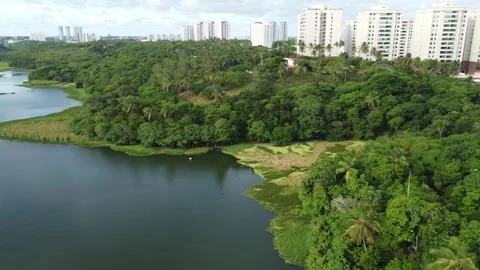 Pituacu metropolitan park Stock Footage 296658449