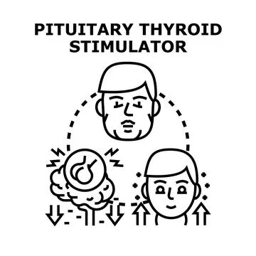 Pituitary gland stimulating thyroid hormone concept Stockillustratie
