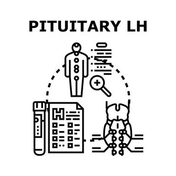 Pituitary lh hormone diagnostic testing concept Stockillustratie