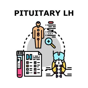 Pituitary lh hormone diagnostic testing concept Stock Illustration