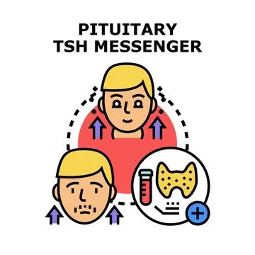 Pituitary tsh messenger regulating thyroid hormone level イラスト素材