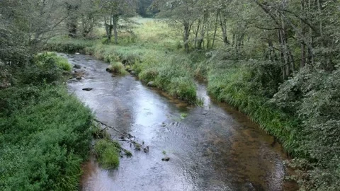 Piusa river in Estonia. Stock Footage 223763881