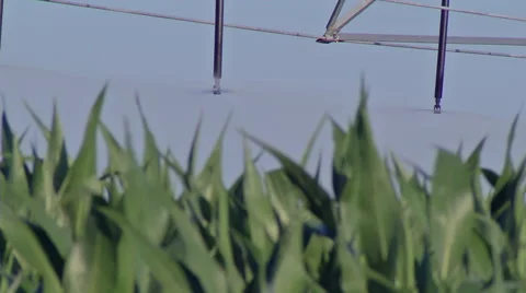 Pivot irrigation 3 Stock Footage 51932729