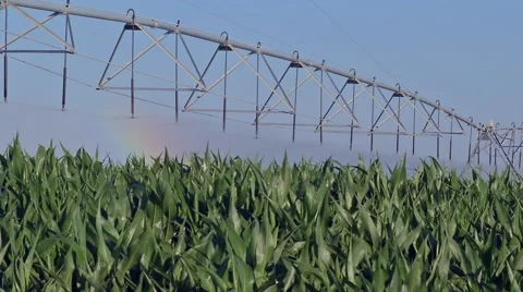 Pivot irrigation 4 Stock Footage 51931058