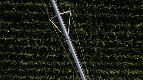 Pivot Irrigation of Corn Field from Above Video stock 92703646