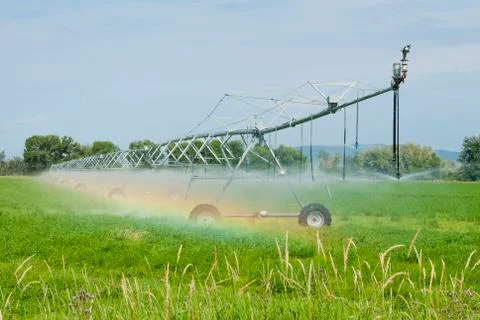 Pivot irrigation Stock Photos