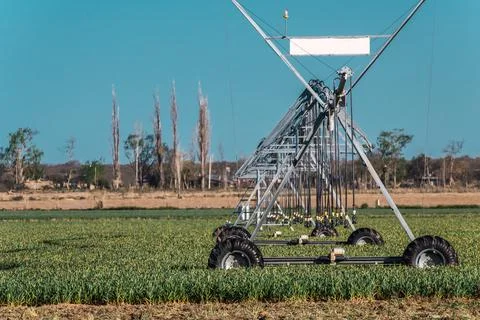 Pivot irrigation system in desert fields. Stock Photos