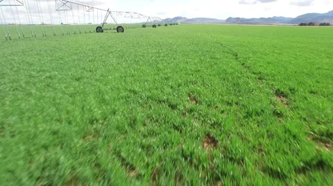 Pivot Irrigation System Flyby Stock Footage 52254588