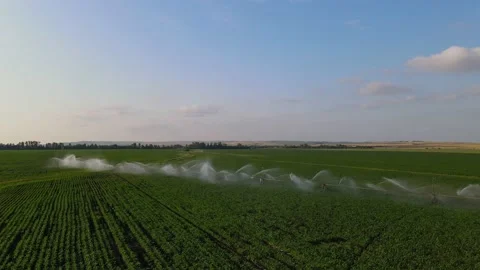 Pivot irrigation system. Rainbow. Agriculture. Aerial view Stock Footage 156952054