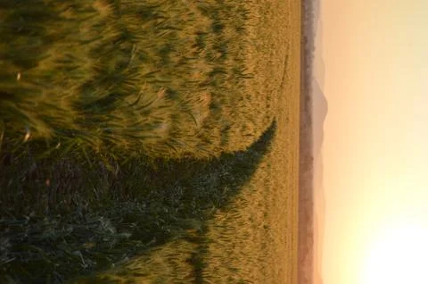 Pivot Path Stock Photos