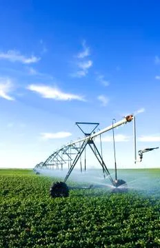 Pivot spray Stock Photos