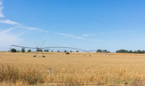 A pivot sprinkler irrigation system. Stock Photos