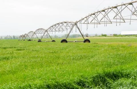Pivot sprinkler system Fotos de archivo