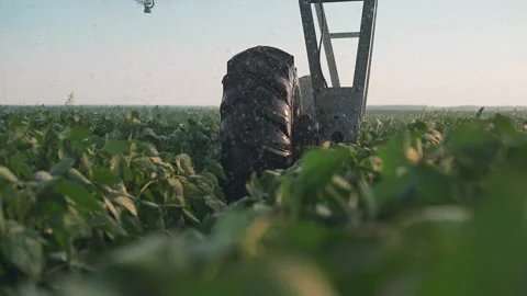 Pivot wheel rolls through soybean field spraying water droplets. Irrigation Stock Footage 338335406