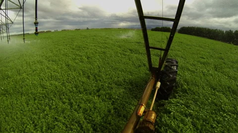 Pivotcam Timelapse! Video stock 57676805