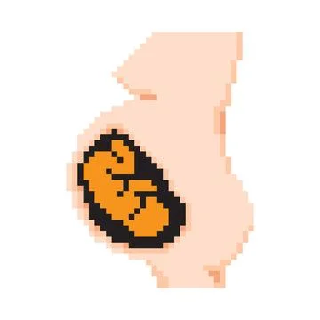 Pixel art of a fetus developing inside a pregnant woman's womb. Vector illu.. 스톡 일러스트