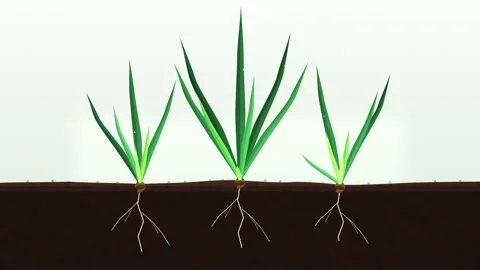 Pixel art grass and roots growing in soil animation loop Video stock 347208976