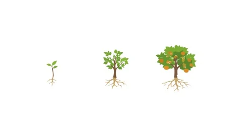 Pixel Art Orange Tree Growth Stages Animation Видео 339376196