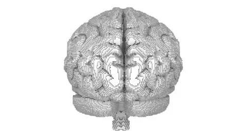 Pixel art pattern style on front view white brain surface on white background Ilustración de archivo