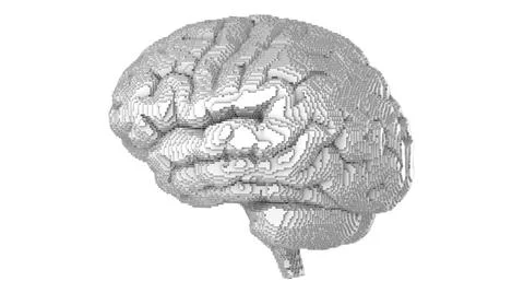 Pixel art pattern style on side view white brain surface on white background Ilustración de archivo