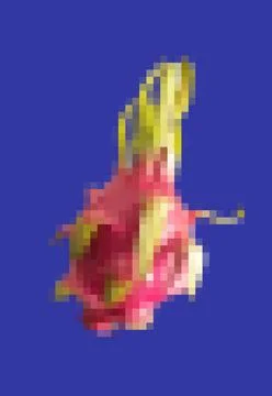A pixel art poster of a dragon fruit pitahaya in a retro 8-bit style, with bo イラスト素材
