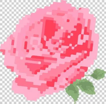 Pixel art rose is floating on transparent background with pink pixel petals and Illustration